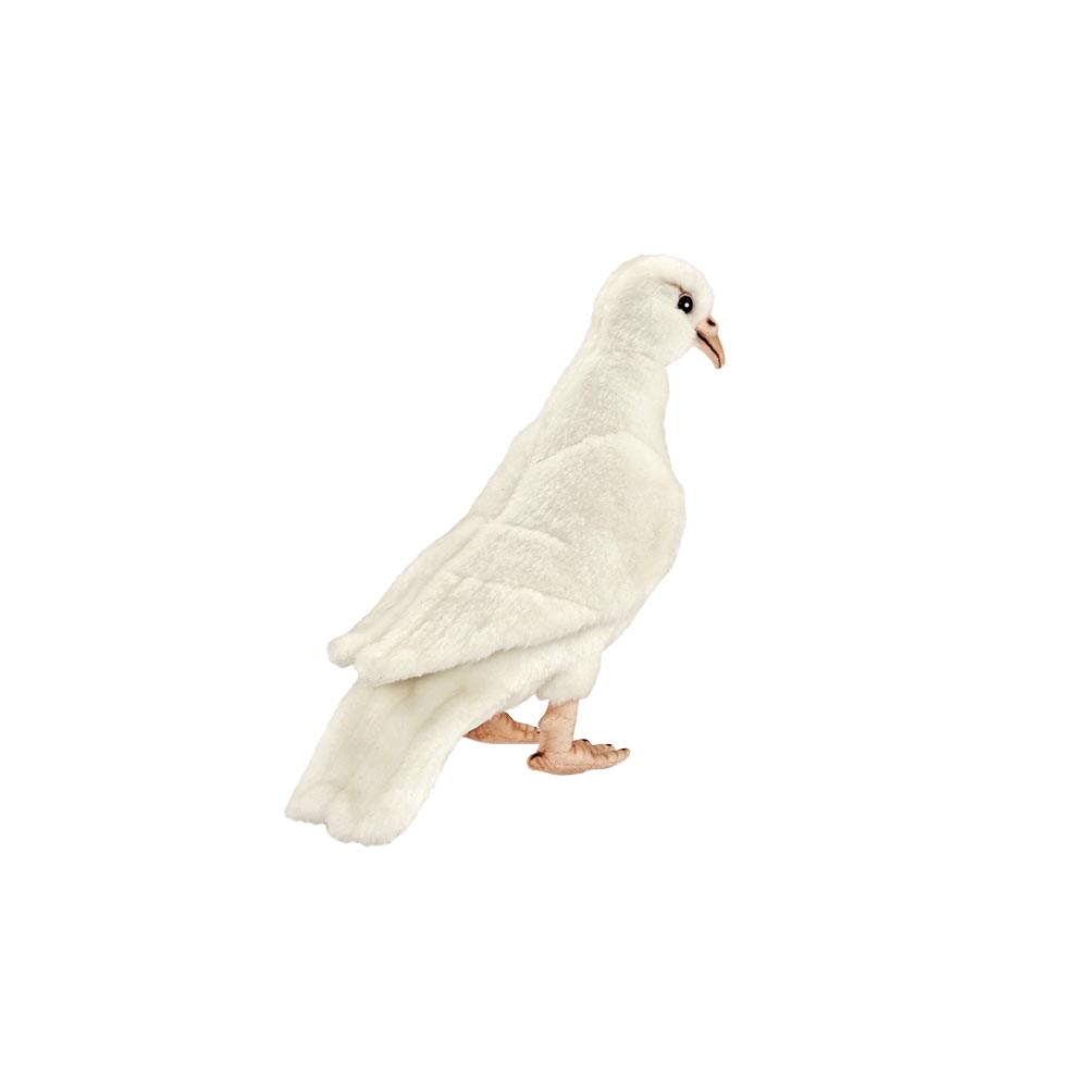 Pigeon Voyageur - Nourevia